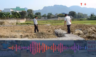 Các trường hợp được chuyển mục đích sử dụng đất mà không phải xin phép theo luật mới