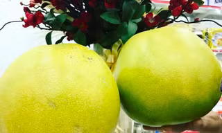 Nhiều cửa hàng đang bán bưởi Mỹ với giá 260.000 đồng/kg