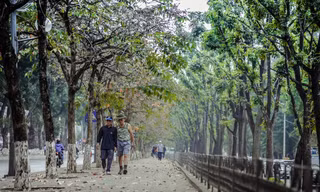 Những tuyến phố có vỉa hè đẹp ở Hà Nội