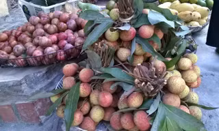 Vải đầu mùa siêu đắt lác đác xuất hiện tại Hà Nội khiến nhà giàu cũng sợ