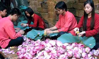Trà sen cổ Hà Thành: 5 triệu/kg, có tiền không dễ mua