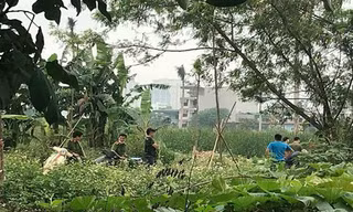 Khu vực nơi phát hiện thi thể