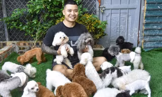 8x Hà Nội kiếm tiền tỷ nhờ nuôi loại chó 'càng nhỏ càng đắt'