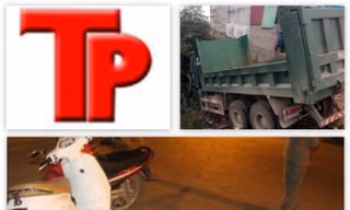 Bản tin Hình sự 18H: Giáo sư bị kiều nữ 'bẫy tình' hơn 17 tỷ đồng