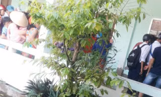 Dân vây bắt 4 phụ nữ vì nghi bắt cóc trẻ ở cổng trường