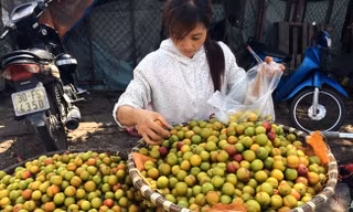 Mận đào Trung Quốc bày bán tràn lan ở Hà Nội