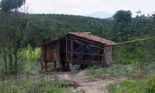 Căn chòi nơi xảy ra vụ việc