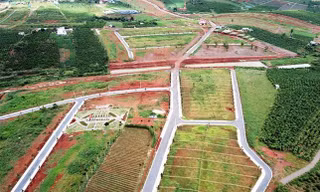 Một đồi chè ở Lâm Đồng bị ủi phẳng.
