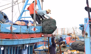 Sau tết, ngư dân miền Trung tất bật vươn khơi bám biển