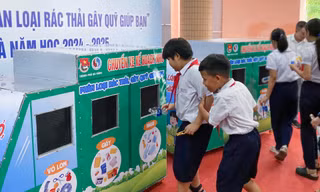 Thanh niên Đà Nẵng cùng xây Trường học Xanh, chống biến đổi khí hậu