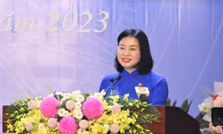 Bà Phan Thị Thúy Linh tái đắc cử Chủ tịch Liên đoàn Lao động TP Đà Nẵng