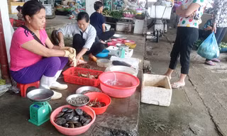 Các tiểu thương chợ Kỳ Anh buồn chán vì cá chết ảnh hưởng đến việc bán tôm cá