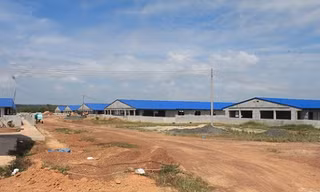 Buộc tháo dỡ trại chăn nuôi heo xây dựng trái phép trong rừng cao su