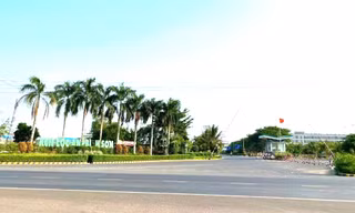 Hàm lượng bụi tại khu công nghiệp gần sân bay Long Thành vượt hơn 9 lần cho phép 