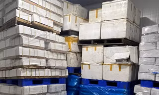 Phát hiện 25 tấn nội tạng động vật hôi thối chuẩn bị vào nhà hàng ở Biên Hòa