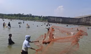 Ngàn người săn 'lộc trời' dưới chân đập thủy điện Trị An 