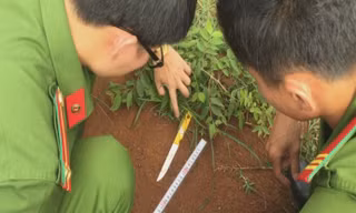 Nam sinh lớp 11 bị nhóm thanh niên đâm tử vong trên đường đi học về