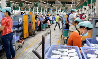  Đầu tháng 9, doanh nghiệp sẽ đưa 15 triệu liều vắc xin Pfizer về Việt Nam 