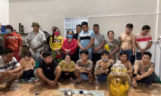 Phát hiện cá thể hổ trong bình rượu tại sới bạc vừa bị triệt phá
