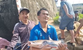 Người dân trúng cá to, bán tiền triệu sau khi thủy điện Trị An ngưng xả nước lần 3