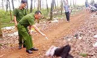 Hiện trường vụ án