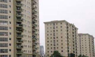 Đầu tư là thắng?