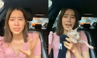 Nghệ sĩ Việt trả giá vì vạ miệng