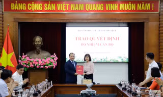 Bổ nhiệm Phó cục trưởng Cục Du lịch quốc gia Việt Nam