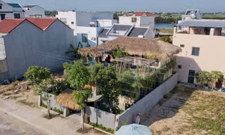Giữa mùa dịch, gia chủ làm vườn, trồng rau trên mái nhà 