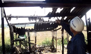 Mất gà đá, chồng đổ xăng thiêu sống vợ