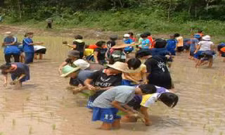 Dạy giới trẻ học làm nông