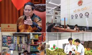 Báo động sầu riêng; bức xúc cả chợ Ninh Hiệp bán hàng giả