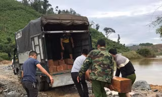 Công an huyện M'đrắk đưa gỗ về trụ sở, tiếp tục điều tra làm rõ