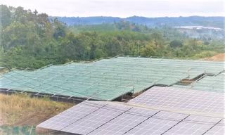 Tấm quang năng, bị tháo gỡ sau khi lắp đặt chưa đầy 2 tháng