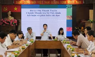 Cựu Chánh Thanh tra Sở Tài chính TPHCM Lê Thị Thanh Tuyền. Ảnh tcvg.hochiminhcity.gov.vn