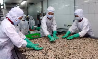 Số doanh nghiệp rút khỏi thị trường cao hơn thành lập mới