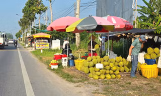 Sầu riêng ‘rẻ như bèo’ bán đầy đường 