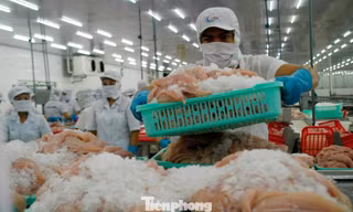 Một số doanh nghiệp thủy sản tạm dừng xuất khẩu Trung Đông