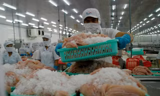 Đa phần doanh nghiệp đang 'thở ôxy', mong mỏi tiêm vắc xin cho người lao động