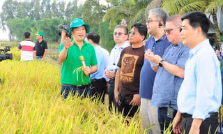 Kết quả thí điểm Đề án 1 triệu ha lúa chất lượng cao: Lợi nhuận tăng tới 6 triệu đồng/ha
