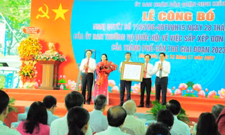 Cần Thơ sáp nhập 4 phường ở quận trung tâm