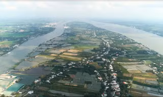 Cần Thơ đề nghị hỗ trợ 400 tỷ đồng làm kè khẩn cấp bảo vệ di sản cồn nổi