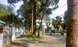 Trà Vinh xin gia hạn cung cấp thông tin, tài liệu về các dự án cây xanh