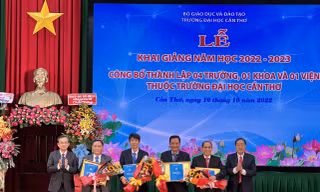 Trường Đại học Cần Thơ thành lập 4 trường trực thuộc