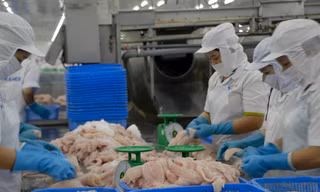 Hơn 2000 doanh nghiệp ở ĐBSCL rút khỏi thị trường