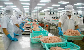 Nhiều mặt hàng thủy sản xuất khẩu của Việt Nam bất ngờ 'lao dốc'