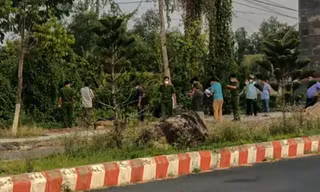 Đi tìm ong mật, phát hiện người đàn ông tử vong trong tư thế treo cổ