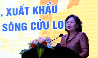 Thống đốc NHNN: Đảm bảo đủ vốn thu mua, xuất khẩu nông sản