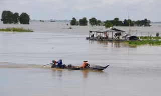 Mực nước sông Mekong cao hơn cùng kỳ nhiều năm gần đây