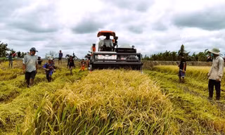 Bảo tàng nông nghiệp 400 tỷ đồng thi tuyển phương án kiến trúc